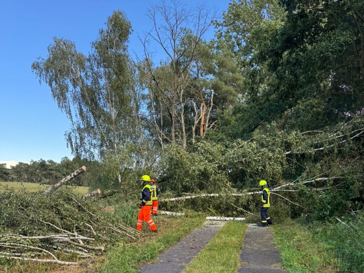 Motorkettensäge und Besen waren notwendige Einsatzmittel bei diesem Einsatz. 