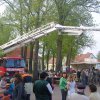 Maibaumfest 2010